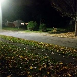 Meet your Posher, Joy